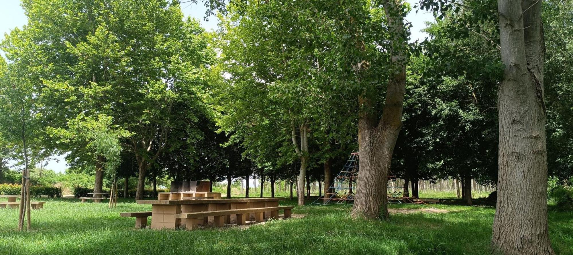 El Castillo La Rioja Agoncillo المظهر الخارجي الصورة